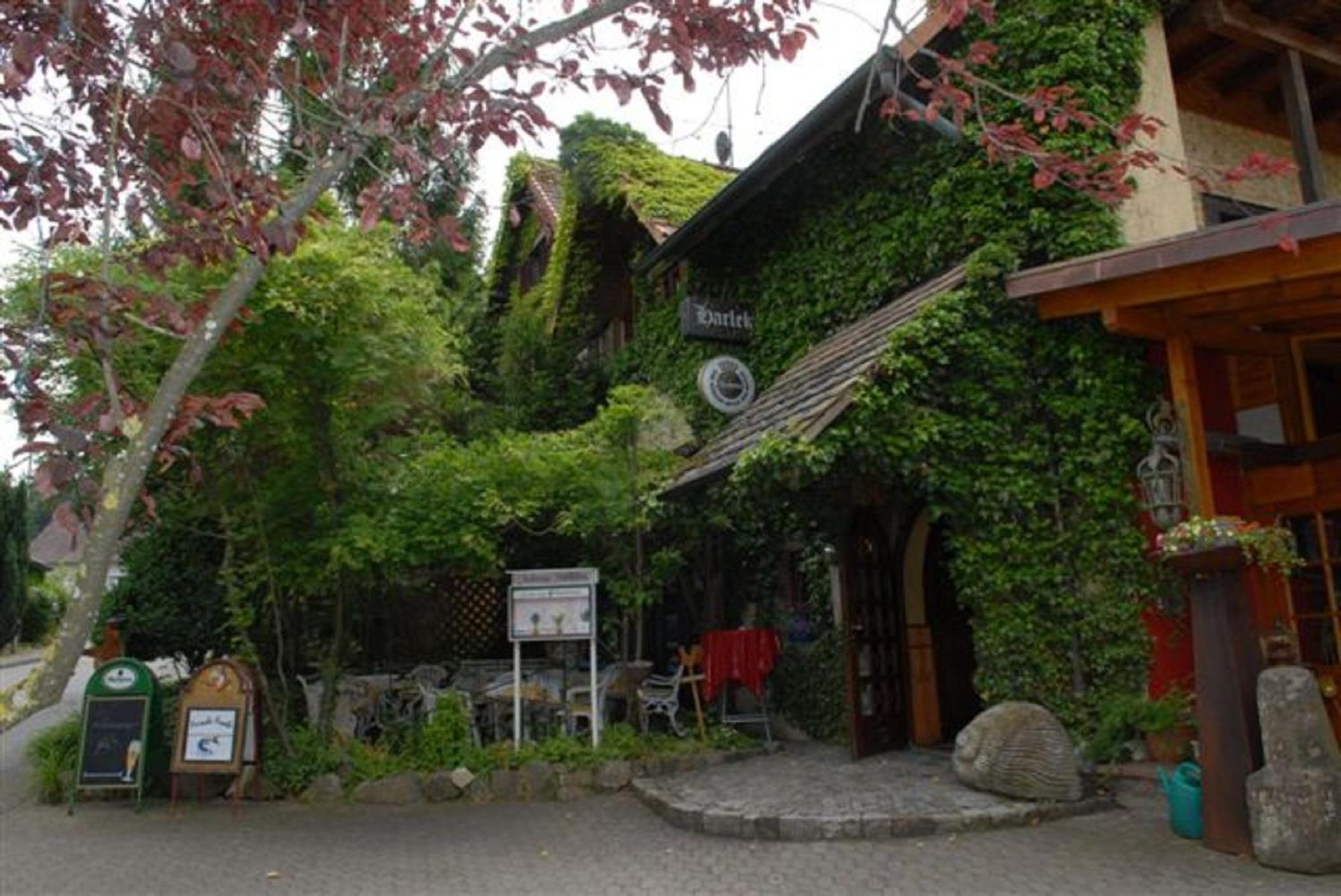 Alte Schreinerei-Auberge Harlekin Randegg Eksteriør bilde